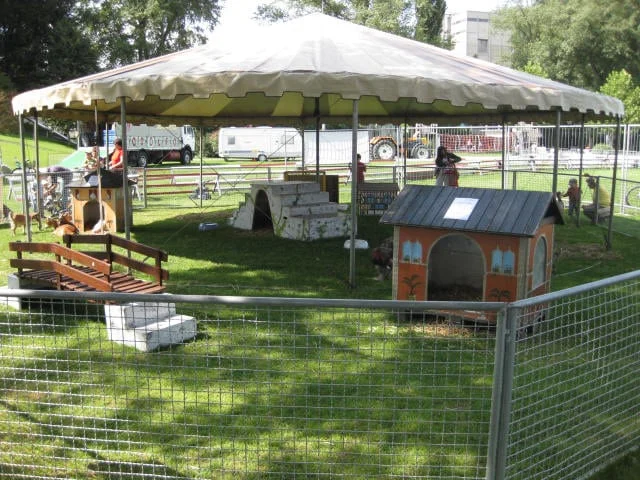 Kleintierzoo / Streichelzoo