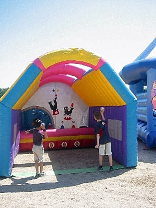 Zirkus Seelöwen Ballspiel